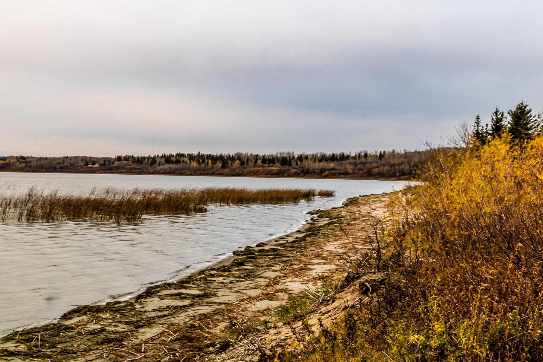 Jackfish lake clearance